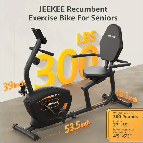 Recumbent Exercise Bike – Indoor Magnetic Cycling for Adults & Seniors