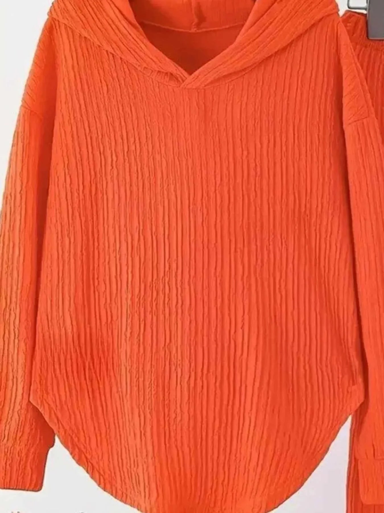 Textured Long Sleeve Hoodie and Pants Set